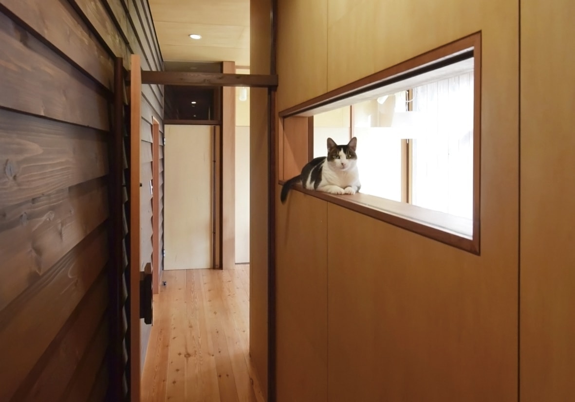 廊下の開口